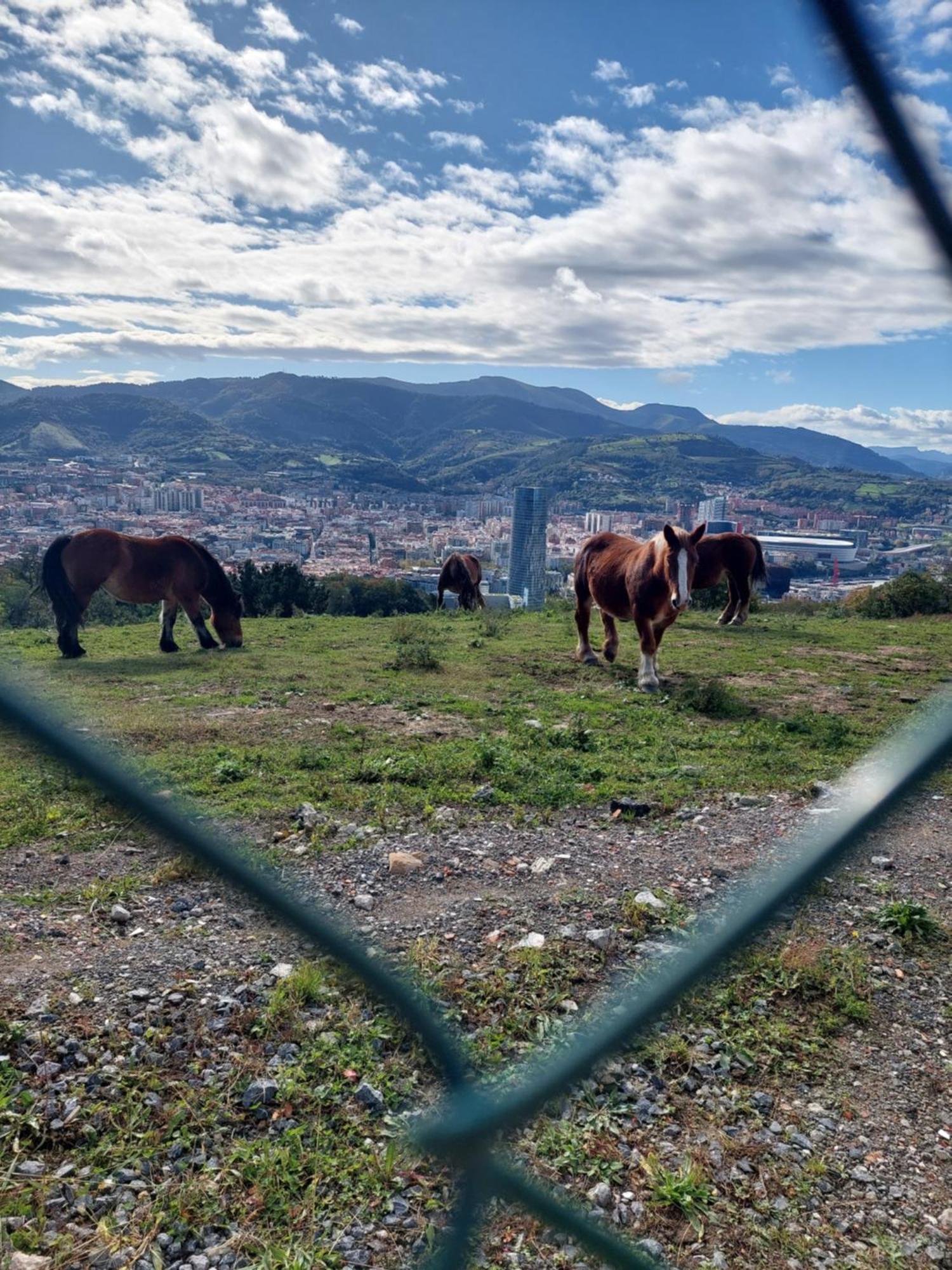 Bilbao Center Apt 90'S Parkingアパートメント エクステリア 写真